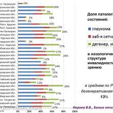 Нероев В.В. Инвалидность по зрению в Российской Федерации. Доклад на офтальмологическом конгрессе Белые ночи-2017 (XIII конгресс АВО), г. Санкт-Петербург, Россия. Информационный партнер organum-visus.ru