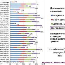 Нероев В.В. Инвалидность по зрению в Российской Федерации. Доклад на офтальмологическом конгрессе Белые ночи-2017 (XIII конгресс АВО), г. Санкт-Петербург, Россия. Информационный партнер organum-visus.ru