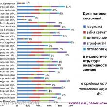 Нероев В.В. Инвалидность по зрению в Российской Федерации. Доклад на офтальмологическом конгрессе Белые ночи-2017 (XIII конгресс АВО), г. Санкт-Петербург, Россия. Информационный партнер organum-visus.ru