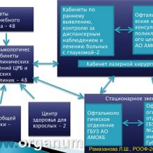 Рамазанова Л.Ш. Организационные вопросы офтальмологической помощи больным с глаукомой в Астраханской области. Доклад на РООФ2012 (AROF2012), Москва, Россия, 03.10. 2012г. Портал Орган зрения www.organum-visus.com, Клуб Знатоков офтальмологии, Зал заседаний ГлаукоМЫ glaucoma.eye-portal.ru