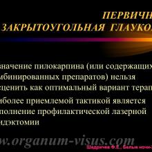 Шадричев Ф.Е. Сахарный диабет и нарушение офтальмотонуса. Доклад на сателлитном симпозиуме "Современные подходы к коррекции различных нарушений офтальмотонуса: можно ли избежать неизбежного?" (при поддержке компании "Эбботт Лэбораториз") в рамках офтальмологического конгресса Белые ночи-2015 (26 июня, г. Санкт-Петербург, Россия). Информационный партнер портал Орган зрения www.organum-visus.com