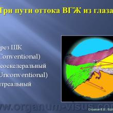 Страхов В.В. Увеосклеральный путь оттока: мифы и реальность, Uveoscleral outflow. Доклад, XII Всероссийская Школа офтальмолога, Снегири, 15 марта 2013г. Russian Glaucoma Society. Информационная поддержка www.organum-visus.com