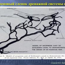 Страхов В.В. Увеосклеральный путь оттока: мифы и реальность, Uveoscleral outflow. Доклад, XII Всероссийская Школа офтальмолога, Снегири, 15 марта 2013г. Russian Glaucoma Society. Информационная поддержка www.organum-visus.com