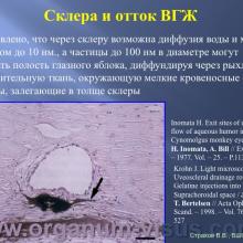 Страхов В.В. Увеосклеральный путь оттока: мифы и реальность, Uveoscleral outflow. Доклад, XII Всероссийская Школа офтальмолога, Снегири, 15 марта 2013г. Russian Glaucoma Society. Информационная поддержка www.organum-visus.com