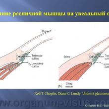Страхов В.В. Увеосклеральный путь оттока: мифы и реальность, Uveoscleral outflow. Доклад, XII Всероссийская Школа офтальмолога, Снегири, 15 марта 2013г. Russian Glaucoma Society. Информационная поддержка www.organum-visus.com