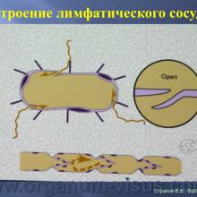 Страхов В.В. Увеосклеральный путь оттока: мифы и реальность, Uveoscleral outflow. Доклад, XII Всероссийская Школа офтальмолога, Снегири, 15 марта 2013г. Russian Glaucoma Society. Информационная поддержка www.organum-visus.com