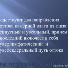 Страхов В.В. Увеосклеральный путь оттока: мифы и реальность, Uveoscleral outflow. Доклад, XII Всероссийская Школа офтальмолога, Снегири, 15 марта 2013г. Russian Glaucoma Society. Информационная поддержка www.organum-visus.com