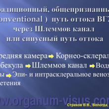 Страхов В.В. Современные представления о путях оттока внутриглазной жидкости из глаза (11 сентября 2015г., г. Вологда, Россия). Glaucoma pathogenesis. Портал Орган зрения www.organum-visus.com