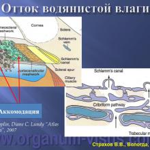 Страхов В.В. Современные представления о путях оттока внутриглазной жидкости из глаза (11 сентября 2015г., г. Вологда, Россия). Glaucoma pathogenesis. Портал Орган зрения www.organum-visus.com