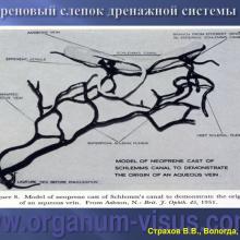 Страхов В.В. Современные представления о путях оттока внутриглазной жидкости из глаза (11 сентября 2015г., г. Вологда, Россия). Glaucoma pathogenesis. Портал Орган зрения www.organum-visus.com