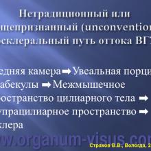 Страхов В.В. Современные представления о путях оттока внутриглазной жидкости из глаза (11 сентября 2015г., г. Вологда, Россия). Glaucoma pathogenesis. Портал Орган зрения www.organum-visus.com
