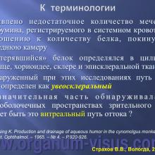 Страхов В.В. Современные представления о путях оттока внутриглазной жидкости из глаза (11 сентября 2015г., г. Вологда, Россия). Glaucoma pathogenesis. Портал Орган зрения www.organum-visus.com