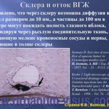 Страхов В.В. Современные представления о путях оттока внутриглазной жидкости из глаза (11 сентября 2015г., г. Вологда, Россия). Glaucoma pathogenesis. Портал Орган зрения www.organum-visus.com