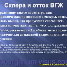 Страхов В.В. Современные представления о путях оттока внутриглазной жидкости из глаза (11 сентября 2015г., г. Вологда, Россия). Glaucoma pathogenesis. Портал Орган зрения www.organum-visus.com
