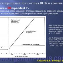 Страхов В.В. Современные представления о путях оттока внутриглазной жидкости из глаза (11 сентября 2015г., г. Вологда, Россия). Glaucoma pathogenesis. Портал Орган зрения www.organum-visus.com