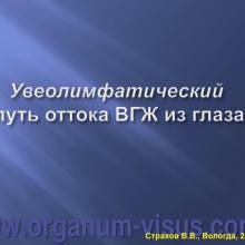 Страхов В.В. Современные представления о путях оттока внутриглазной жидкости из глаза (11 сентября 2015г., г. Вологда, Россия). Glaucoma pathogenesis. Портал Орган зрения www.organum-visus.com