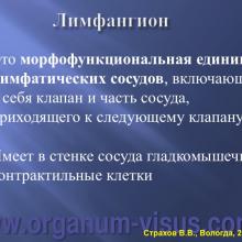 Страхов В.В. Современные представления о путях оттока внутриглазной жидкости из глаза (11 сентября 2015г., г. Вологда, Россия). Glaucoma pathogenesis. Портал Орган зрения www.organum-visus.com