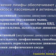Страхов В.В. Современные представления о путях оттока внутриглазной жидкости из глаза (11 сентября 2015г., г. Вологда, Россия). Glaucoma pathogenesis. Портал Орган зрения www.organum-visus.com