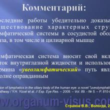 Страхов В.В. Современные представления о путях оттока внутриглазной жидкости из глаза (11 сентября 2015г., г. Вологда, Россия). Glaucoma pathogenesis. Портал Орган зрения www.organum-visus.com