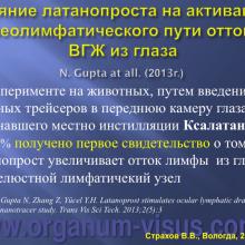 Страхов В.В. Современные представления о путях оттока внутриглазной жидкости из глаза (11 сентября 2015г., г. Вологда, Россия). Glaucoma pathogenesis. Портал Орган зрения www.organum-visus.com