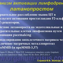 Страхов В.В. Современные представления о путях оттока внутриглазной жидкости из глаза (11 сентября 2015г., г. Вологда, Россия). Glaucoma pathogenesis. Портал Орган зрения www.organum-visus.com