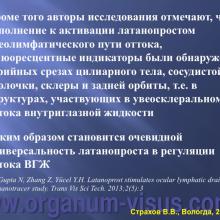 Страхов В.В. Современные представления о путях оттока внутриглазной жидкости из глаза (11 сентября 2015г., г. Вологда, Россия). Glaucoma pathogenesis. Портал Орган зрения www.organum-visus.com