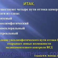 Страхов В.В. Современные представления о путях оттока внутриглазной жидкости из глаза (11 сентября 2015г., г. Вологда, Россия). Glaucoma pathogenesis. Портал Орган зрения www.organum-visus.com