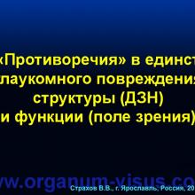 Страхов В.В. Главные патогенетические «противоречия» первичной глаукомы (г. Ярославль, Россия, 2014г.) Glaucoma pathogenesis. Информационный партнер www.organum-visus.com 