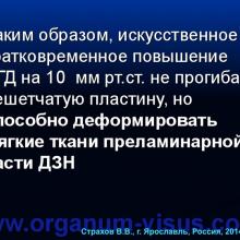 Страхов В.В. Главные патогенетические «противоречия» первичной глаукомы (г. Ярославль, Россия, 2014г.) Glaucoma pathogenesis. Информационный партнер www.organum-visus.com 