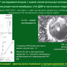 Волков В.В. Глаукома или Глаукомы? Доклад на конференции Невские горизонты-2012, Санкт-Петербург, Россия. Информационная поддержка www.organum-visus.com