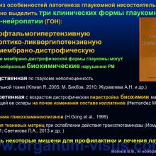 Волков В.В. Решётчатая мембрана склеры и трансмембранный градиент давления в патогенезе глаукомной оптической нейропатии (Volkov V.V., Военно-медицинская академия им. С.М. Кирова, г. Санкт-Петербург, Россия), доклад на III международном симпозиуме „Проблемные вопросы глаукомы”, г. Москва, 08 ноября 2014 г. Информационный партнер www.organum-visus.com