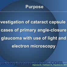 Egorova E., Tukhtaev K., Fayzieva U. Morphologic features of anterior lens capsule in the primary angle-closure glaucoma with pseudoexfoliative syndrome. 2012, февраль, 20. XXXIII World Ophthalmology Congress, Абу-Даби.
