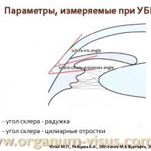 Югай М.П., Рябцева А.А. Анатомо-топографические и гидродинамические изменения глаза при псевдоэксфолиативной глаукоме после ФЭК. Доклад на Всероссийском конгрессе "Глаукома на рубеже веков", 5-6 сентября 2013г. г. Казань. Media Partner www.organum-visus.com