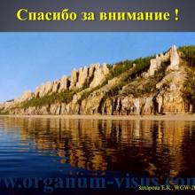 Захарова Е.К. Анализ эпидемиологических показателей глаукомы в Республике Саха (Якутия). Доклад на WGW2014: World Glaucoma Week in Russia! Российское глаукомное общество (РГО). Научно-практическая конференция, посвященная Всемирному Дню борьбы с Глаукомой в рамках международной инициативы «Всемирная неделя борьбы с глаукомой 2014: Победить невидимую глаукому», 29 марта 2013г., г. Якутск, Россия. Информационный партнер www.organum-visus.com
