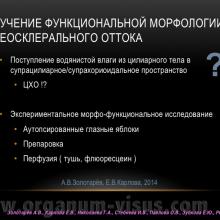 Золотарёв А.В., Карлова Е.В., Николаева Г.А., Стебнева И.В., Павлова О.В., Зубкова Е.Ю. Рефракционно-аккомодационные аспекты регуляции офтальмотонуса. Доклад на VIII Российском общенациональном офтальмологическом форуме (РООФ-2015, All-Russia Ophthalmological Forum, AROF-2015). Портал Орган зрения www.organum-visus.com