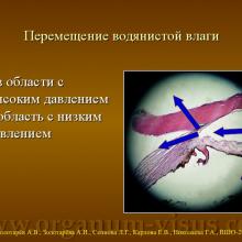 Золотарёв А.В., Золотарёва А.И., Сеннова Л.Г., Карлова Е.В., Николаева Г.А. Глаукома фундаментальное направление исследований школы Т.И. Ерошевского  Доклад на XIII Всероссийской Школе офтальмолога (ВШО-2014), "Снегири", 14 марта 2014г. Информационный партнер портал Орган зрения www.organum-visus.com