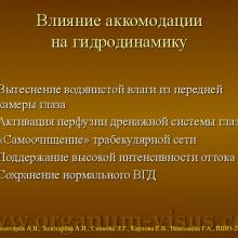 Золотарёв А.В., Золотарёва А.И., Сеннова Л.Г., Карлова Е.В., Николаева Г.А. Глаукома фундаментальное направление исследований школы Т.И. Ерошевского  Доклад на XIII Всероссийской Школе офтальмолога (ВШО-2014), "Снегири", 14 марта 2014г. Информационный партнер портал Орган зрения www.organum-visus.com