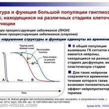 Зуева М.В. Доклинические тесты диагностики глаукомы и их роль в практическом здравоохранении. Доклад на первом Научно-практическом заседании Экспертного Совета по глаукоме. Тематика: Современные подходы к диагностике и терапии глаукомы, 14 октября 2016 (Москва), под эгидой Общероссийской общественной организации "Ассоциация врачей-офтальмологов". Информационный партнер organum-visus.ru