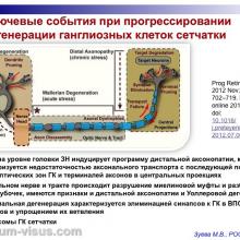 Зуева М.В. Доклинические тесты диагностики глаукомы и их роль в практическом здравоохранении. Доклад на первом Научно-практическом заседании Экспертного Совета по глаукоме. Тематика: Современные подходы к диагностике и терапии глаукомы, 14 октября 2016 (Москва), под эгидой Общероссийской общественной организации "Ассоциация врачей-офтальмологов". Информационный партнер organum-visus.ru