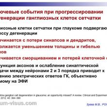 Зуева М.В. Доклинические тесты диагностики глаукомы и их роль в практическом здравоохранении. Доклад на первом Научно-практическом заседании Экспертного Совета по глаукоме. Тематика: Современные подходы к диагностике и терапии глаукомы, 14 октября 2016 (Москва), под эгидой Общероссийской общественной организации "Ассоциация врачей-офтальмологов". Информационный партнер organum-visus.ru
