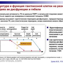 Зуева М.В. Доклинические тесты диагностики глаукомы и их роль в практическом здравоохранении. Доклад на первом Научно-практическом заседании Экспертного Совета по глаукоме. Тематика: Современные подходы к диагностике и терапии глаукомы, 14 октября 2016 (Москва), под эгидой Общероссийской общественной организации "Ассоциация врачей-офтальмологов". Информационный партнер organum-visus.ru